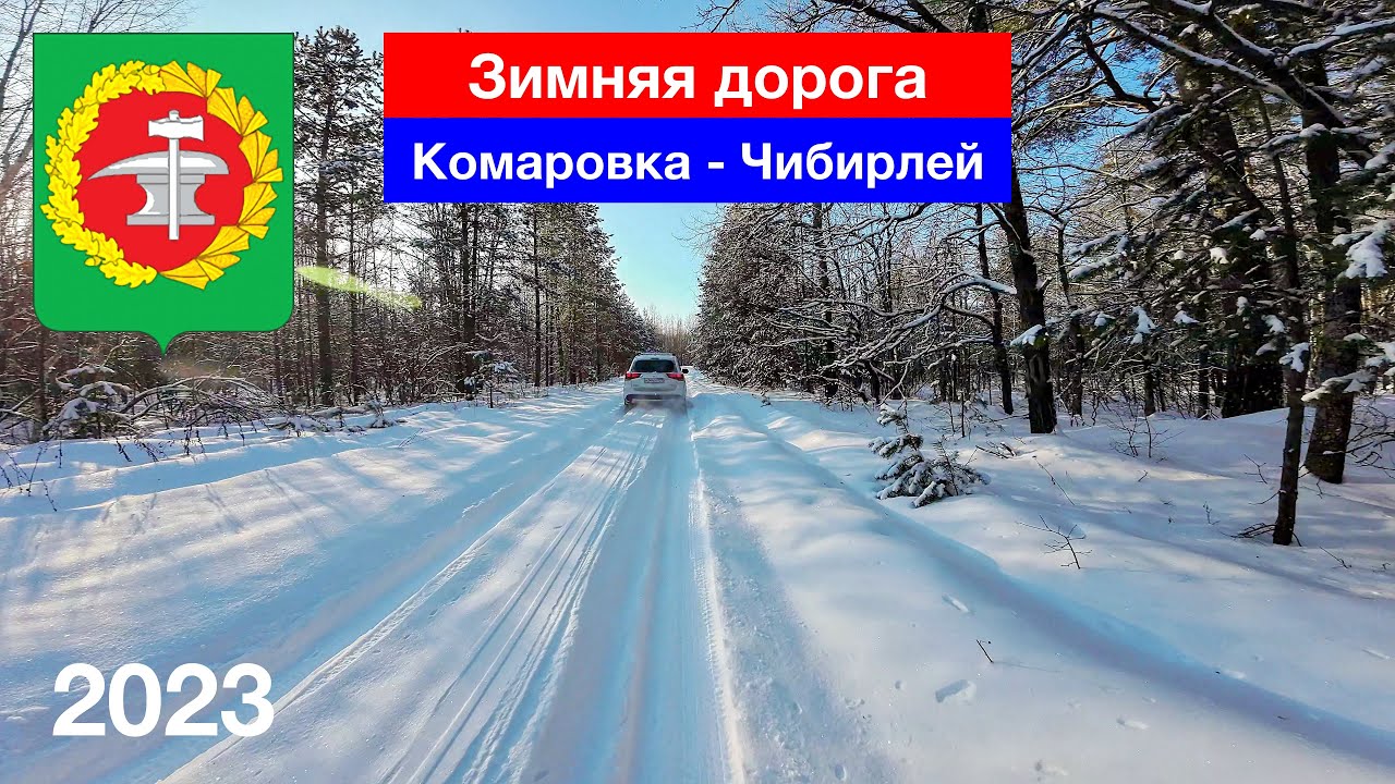 Дорога в Чибирлей через зимний лес, Кузнецкий район (7.01.2023)
