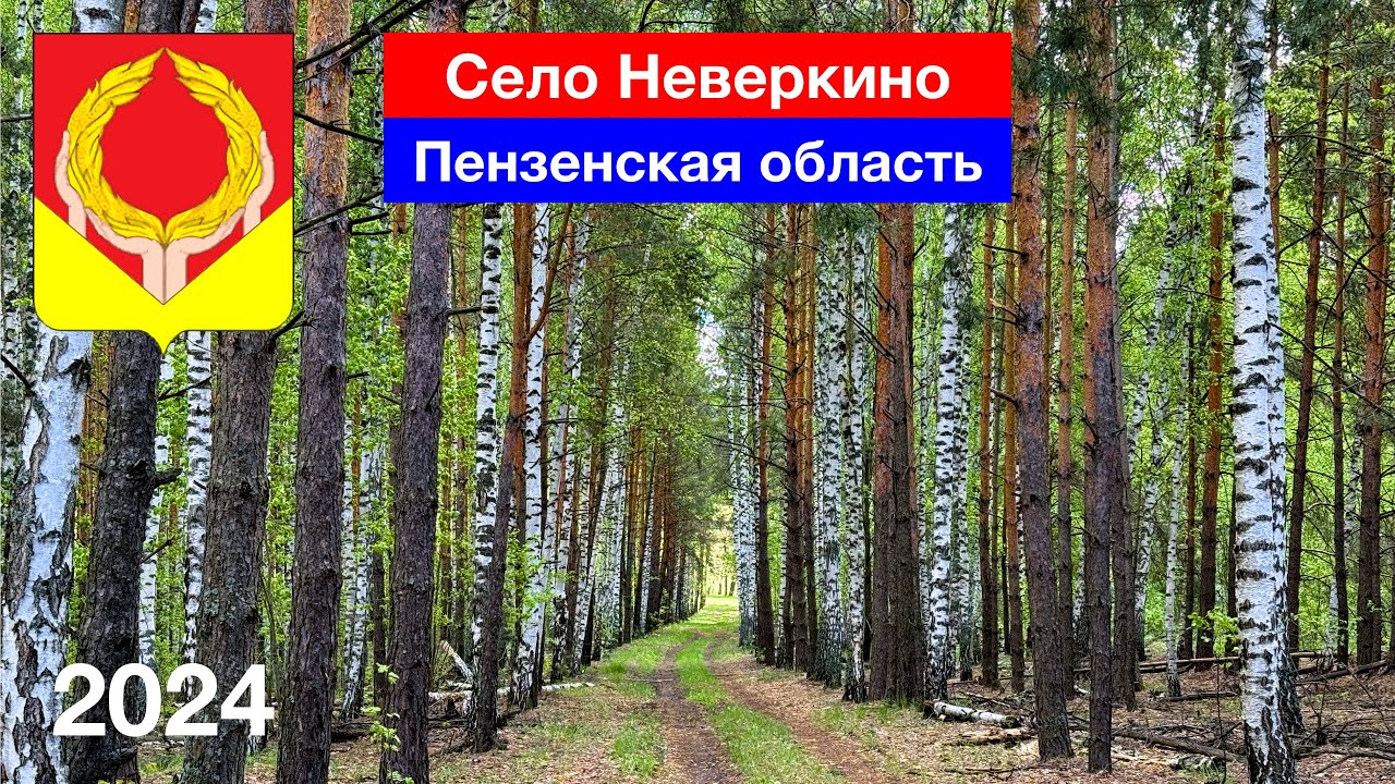 Красивый лес в Неверкино // Замёрзли все дубы // Путешествуем по Пензенской области (6.05.2024)