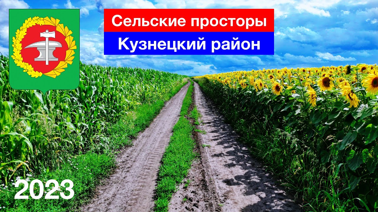 Сельские просторы / Кукурузные и подсолнечные поля / Пензенская область (23.07.2023)
