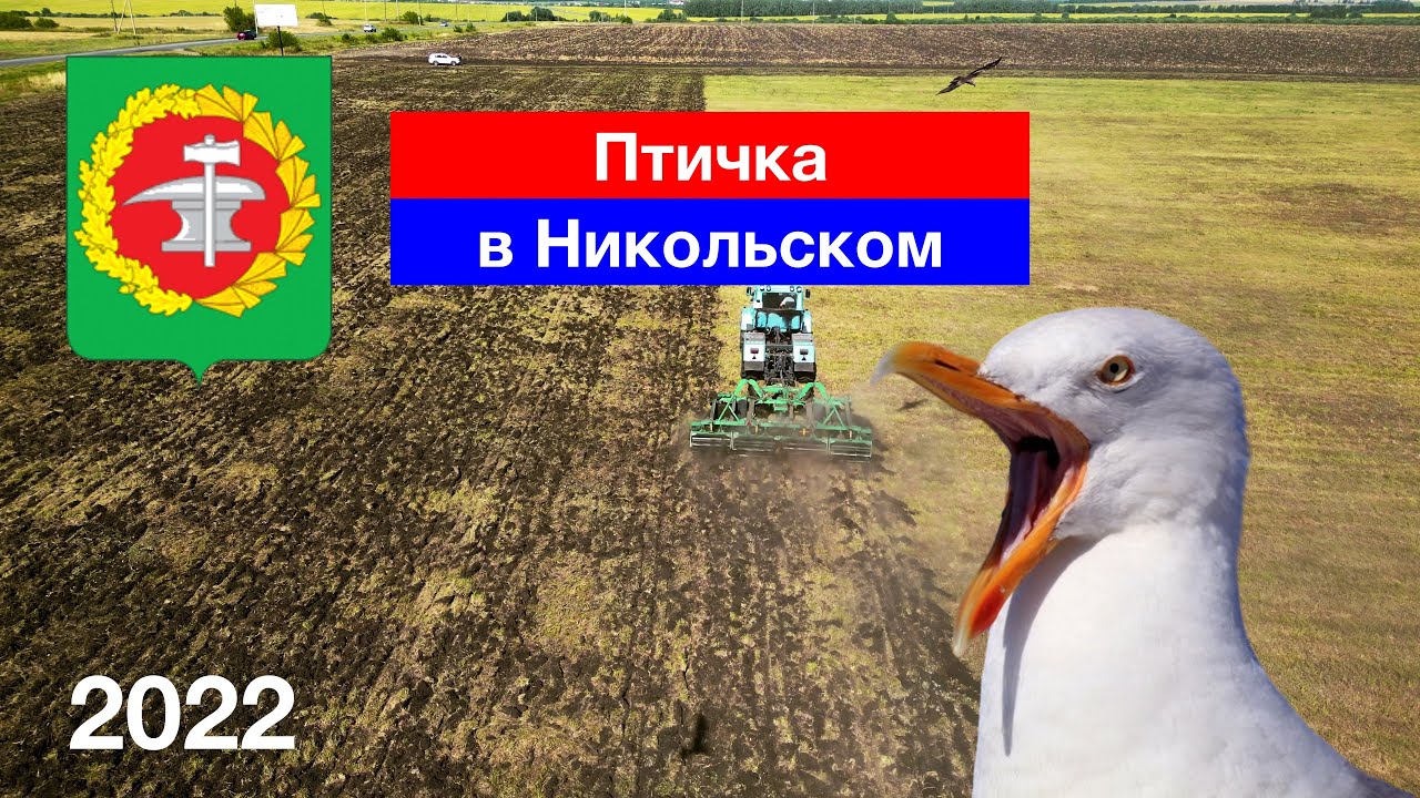 Птичка в Никольском (21.08.2022)