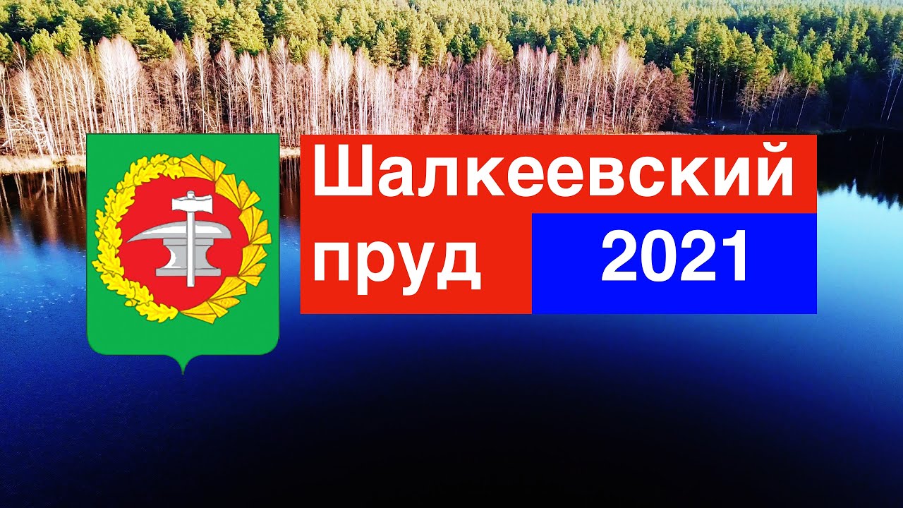 Шалкеевский пруд, Кузнецк (31.10.2021)