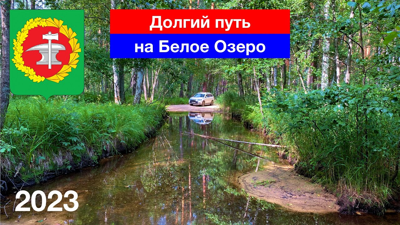 Долгий путь на Белое Озеро через лес от Сосновки / Пензенская — Ульяновская обл. (29.07.2023)