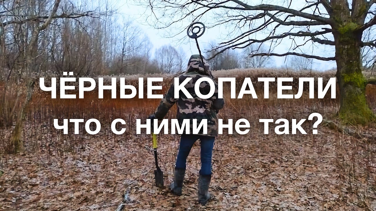 Чёрные копатели — что с ними не так? Археология, законодательство, уголовная ответственность