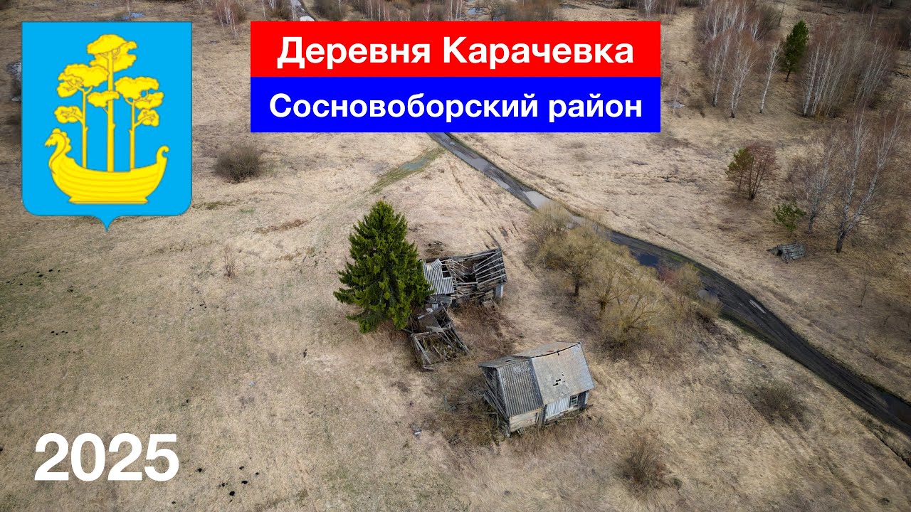 Заброшенная деревня Карачевка, Сосновоборский район (9.04.2025)