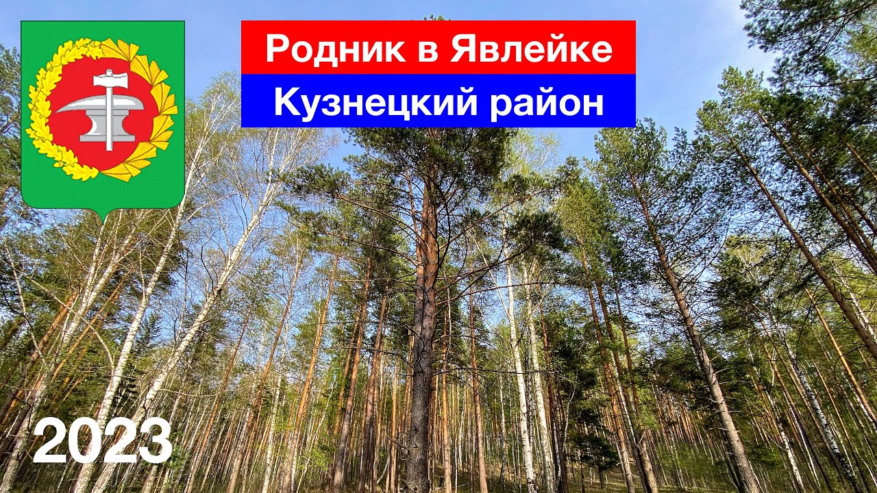 Родник в Явлейке / Весенний лес / Кузнецкий район (30.04.2023)