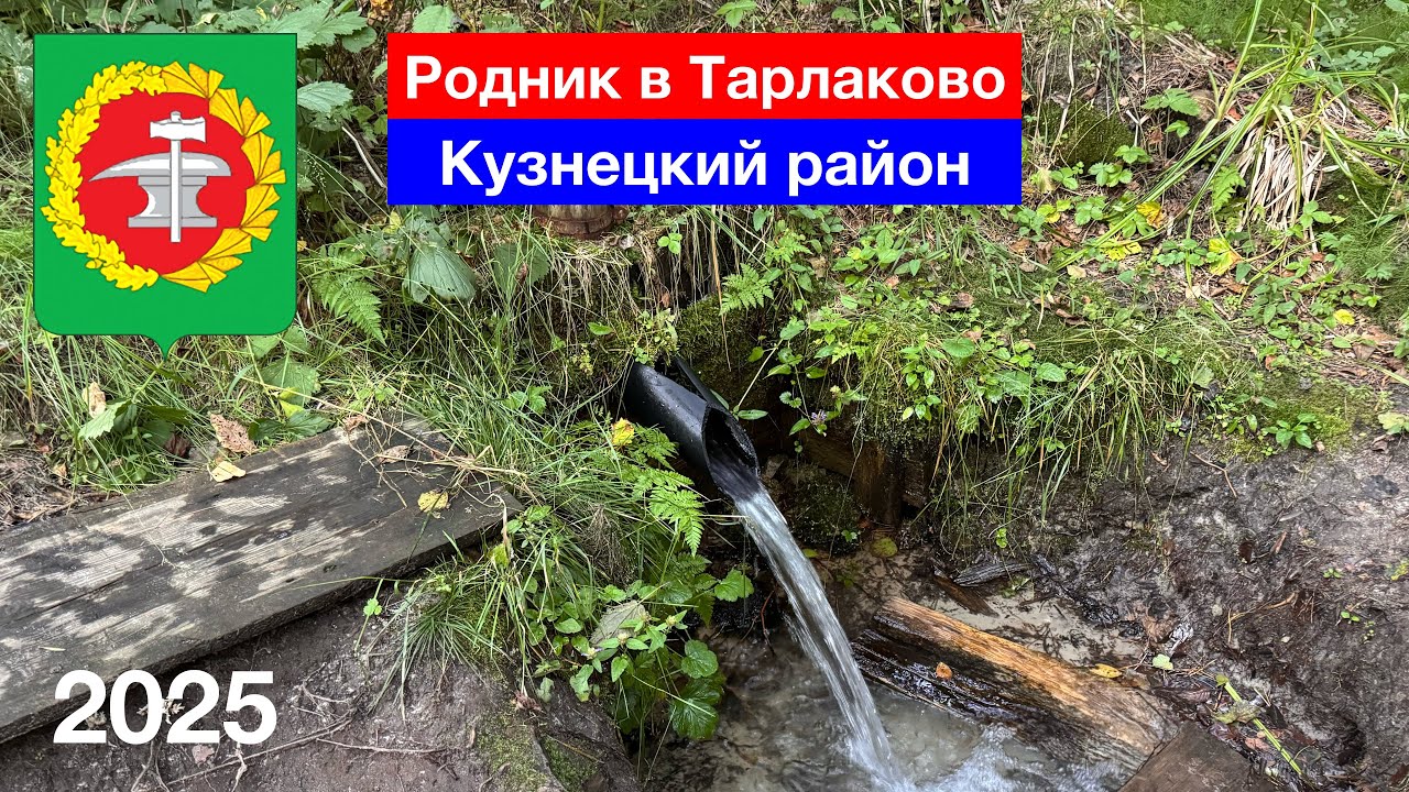 Родник в селе Второе Тарлаково, Кузнецкий район (16.07.2025)