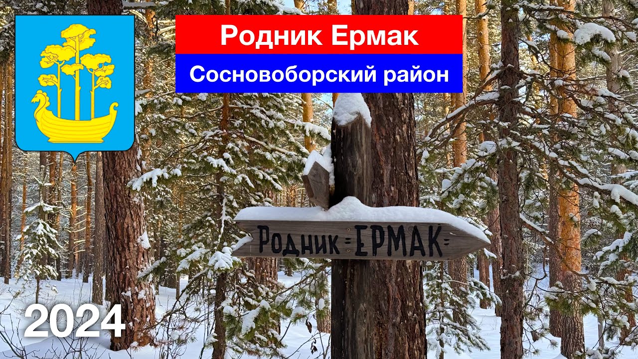 Родник Ермак, село Индерка, Сосновоборский район (4.01.2024)