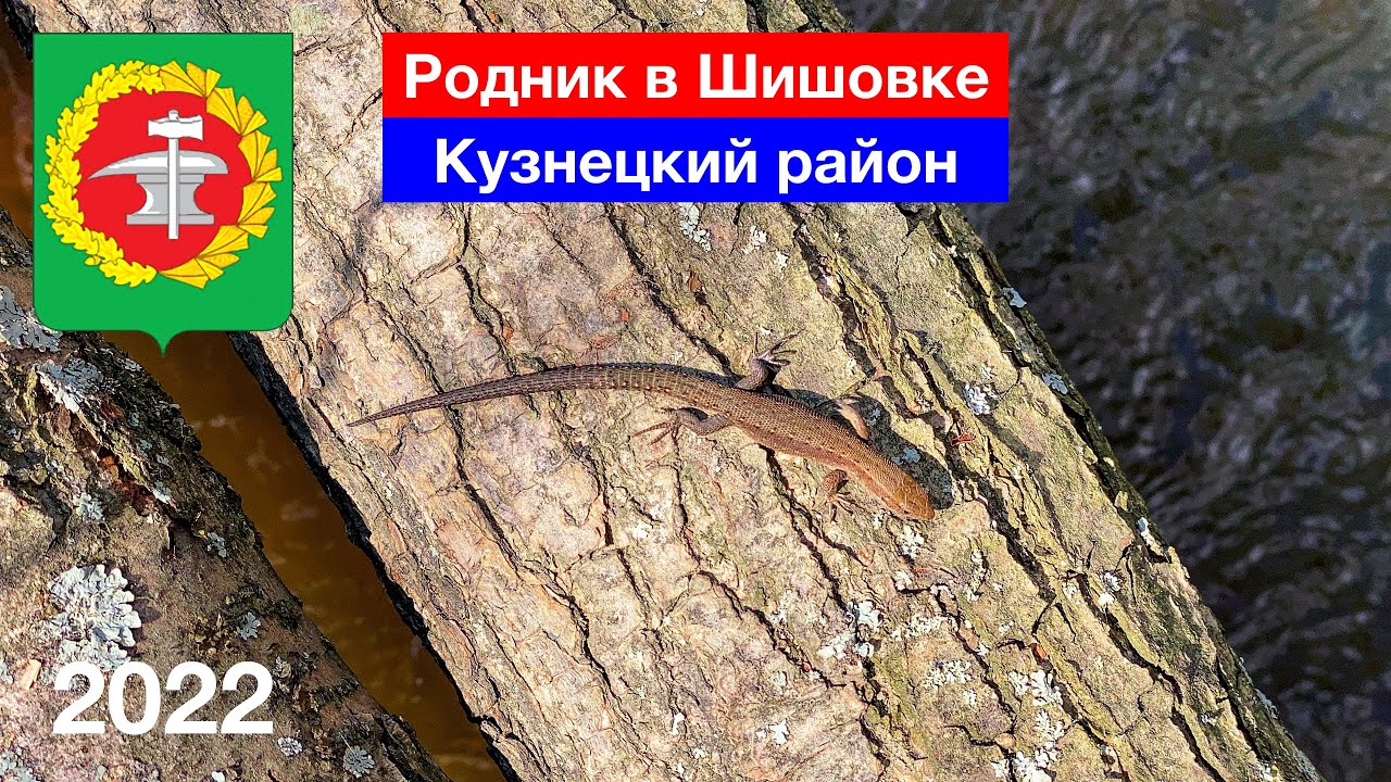 Родник в Шишовке / Наблюдаем за природой / Весенний лес / Кузнецкий район (3.05.2022)