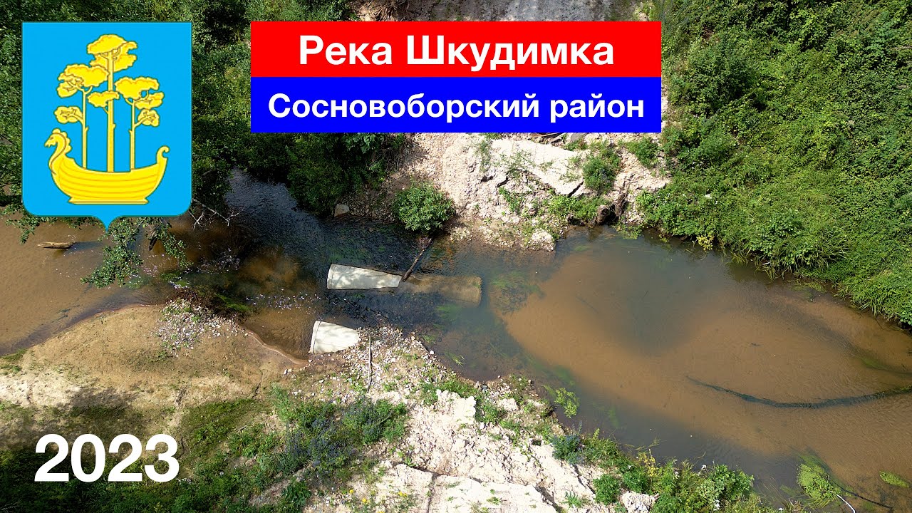 Река Шкудимка, Сосновоборский район (16.07.2023)