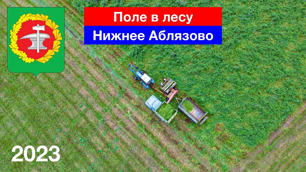 Поле, скрытое в лесу / Река Кадада / Верхозим / Нижнее Аблязово / Кузнецкий район (23.07.2023)
