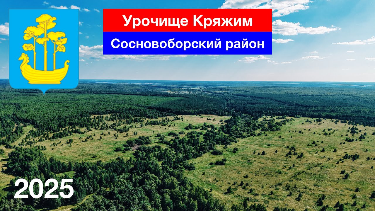 Урочище Кряжим — что осталось на месте бывшего села? Сосновоборский район (28.07.2025)