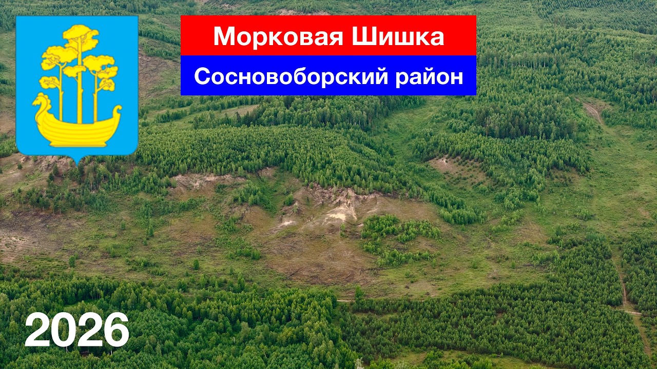 Морковая шишка / Первое Тарлаково / Сосновоборский район (14.06.2026)