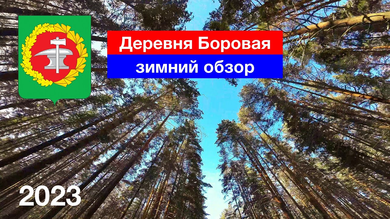Деревня Боровая / Зимний обзор / Родник / Озеро / ул. Озёрная / Кузнецкий район (14.01.2023)