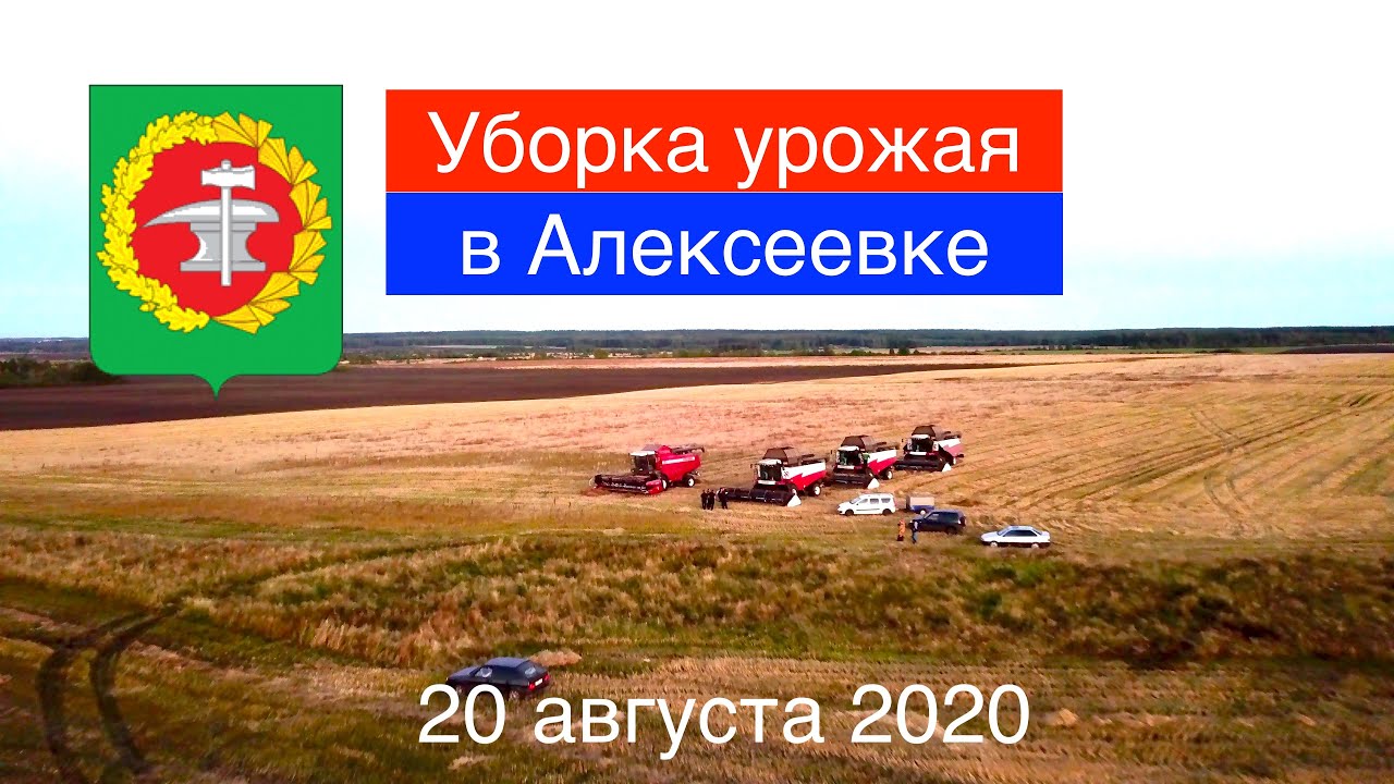 Кузнецк. Уборка урожая в Алексеевке (20.08.2020)