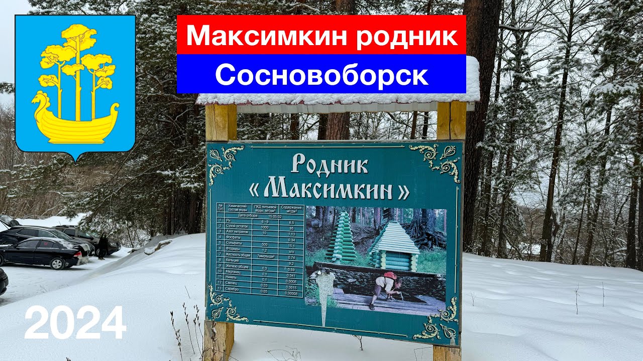 Максимкин родник, Сосновоборск, Пензенская область (3.01.2024)