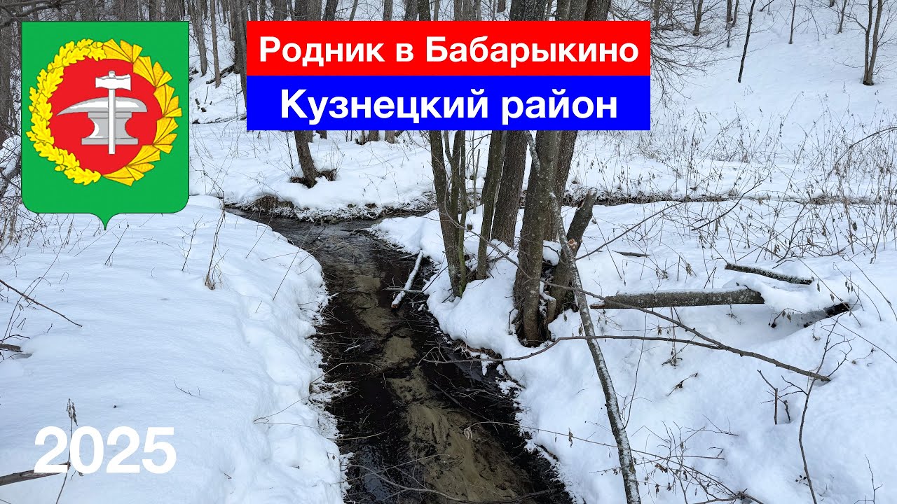Родник в селе Бабарыкино, Кузнецкий район (5.01.2025)