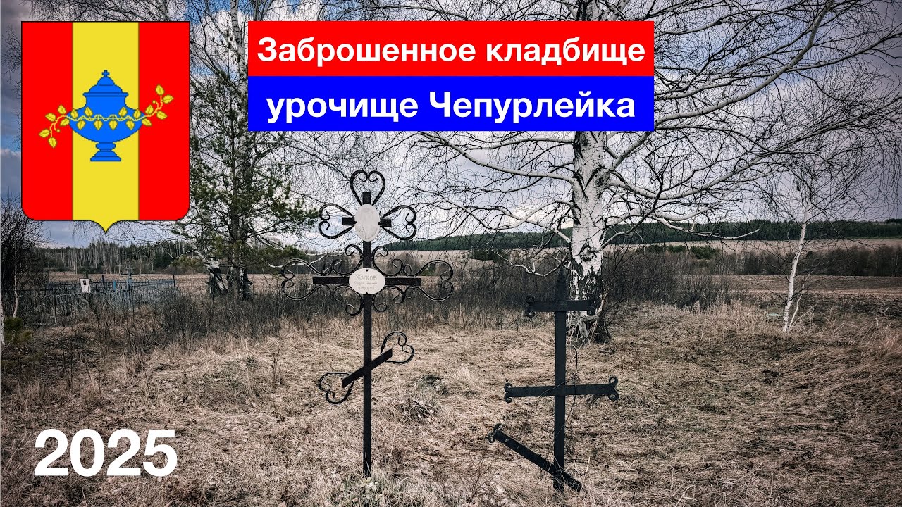 Заброшенное кладбище села Чепурлейка, Никольский район, Пензенская область (11.04.2025)