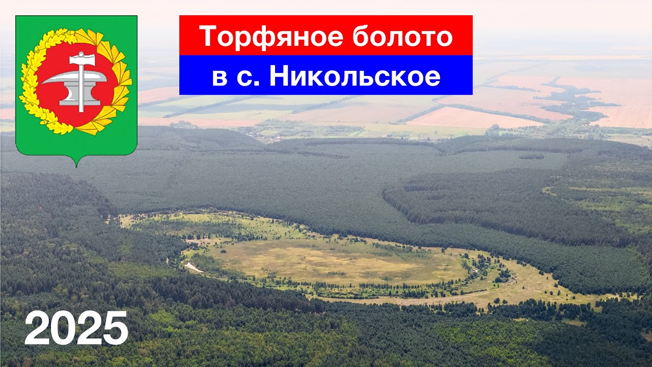 Торфяное болото, окрестности села Никольское, Кузнецкий район (27.07.2025)